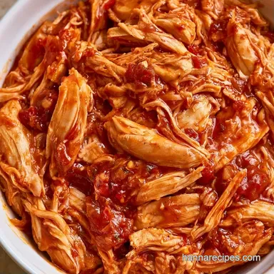 Slow Cooker Mexican Chicken with Salsa Recipe Card