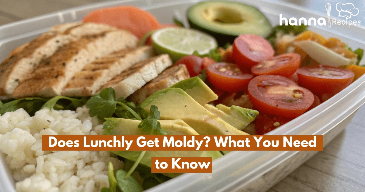 Does Lunchly get moldy? Fresh Lunchly meal served without mold, keeping your food safe and tasty.