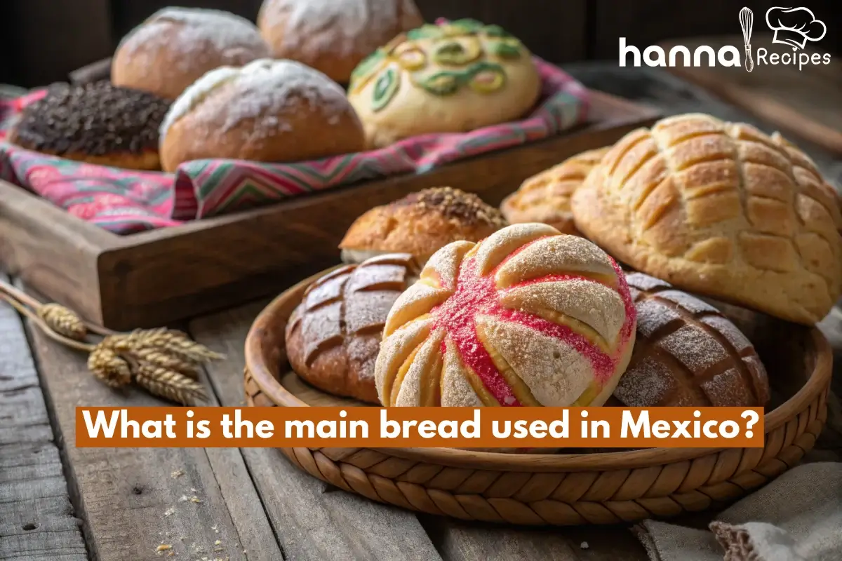 What is the main bread used in Mexico? A close-up of traditional Mexican breads like conchas, pan de muerto, and bolillos.